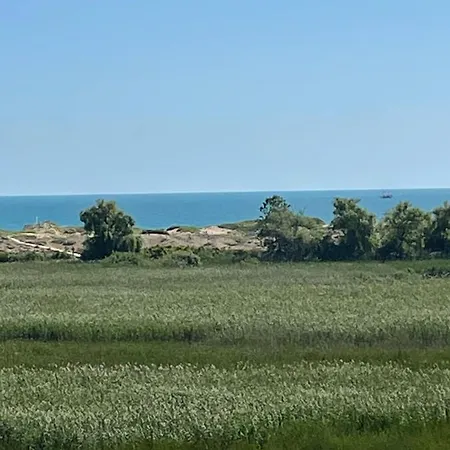 Pearl Sunshine Appartments דירה *